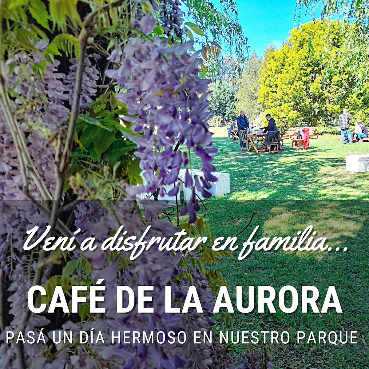 Café De La Aurora-4